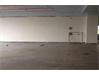 Retail showroom shop for Rent